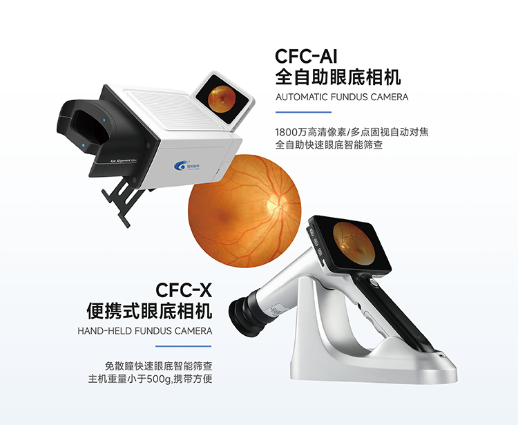 久久久久亚洲av无码专区蜜芽